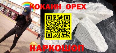 гашик Кингисепп