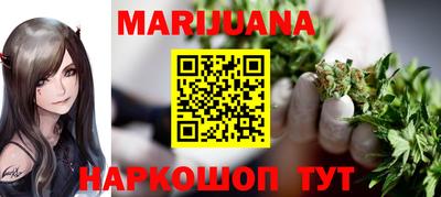 гашик Кингисепп