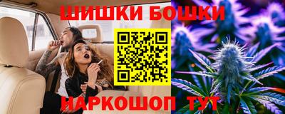 гашик Кингисепп