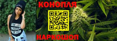 гашик Кингисепп