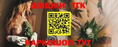 гашик Кингисепп