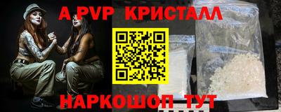 гашик Кингисепп