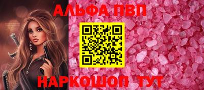 гашик Кингисепп