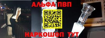 гашик Кингисепп