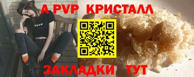 гашик Кингисепп