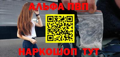 гашик Кингисепп