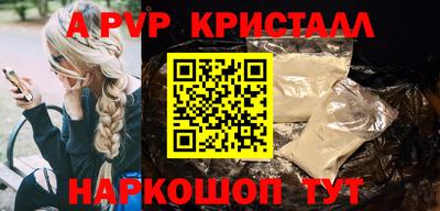гашик Кингисепп
