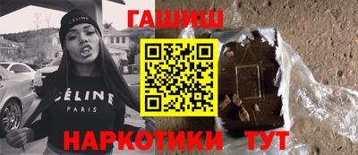гашик Кингисепп