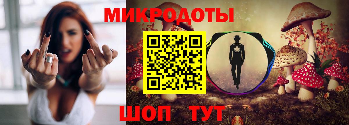 Ярославль  Галлюциногенные грибы Psilocybe  Вход с VPN 