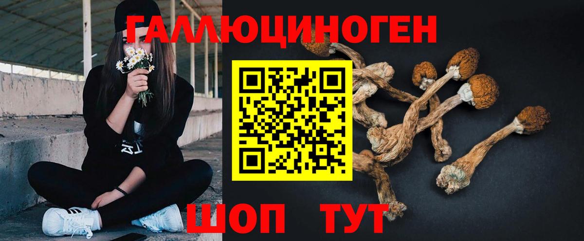 Галлюциногенные грибы мухоморы Ярославль